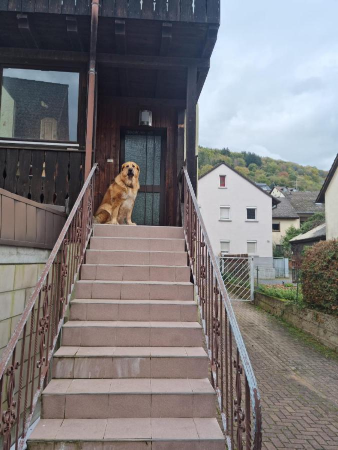 Main Zu Hause Villa Eichenbuhl  Eksteriør bilde