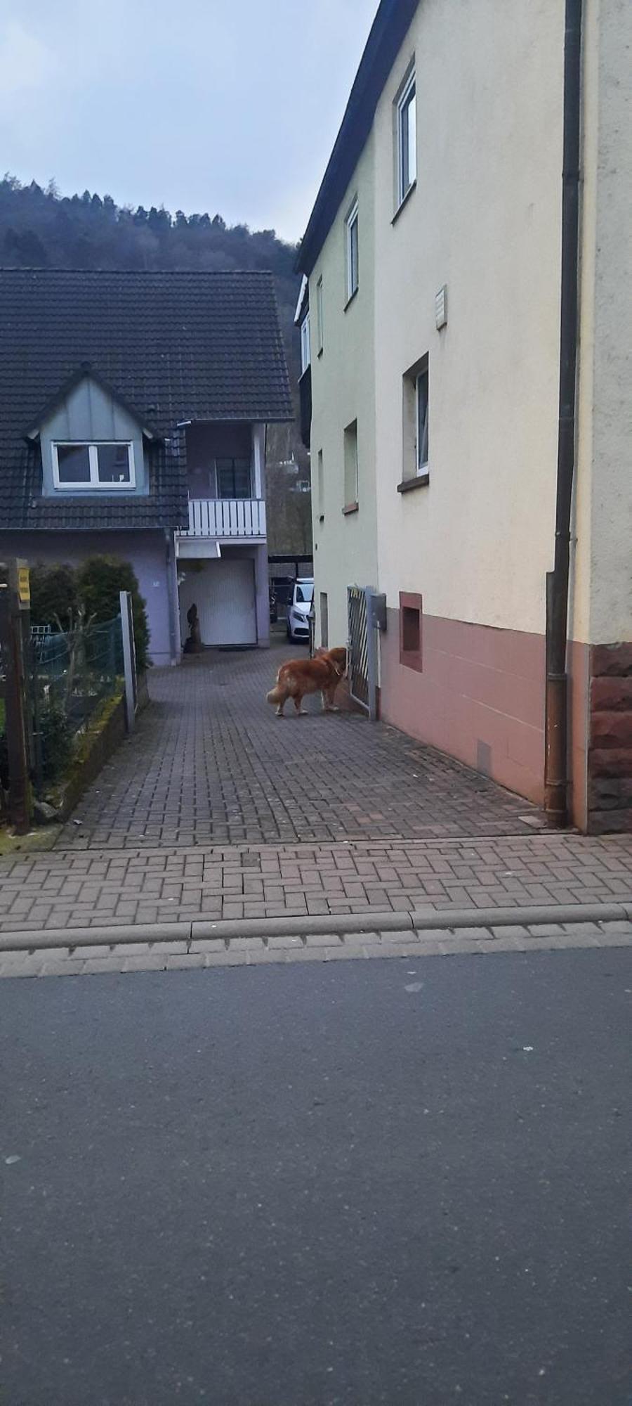 Main Zu Hause Villa Eichenbuhl  Eksteriør bilde