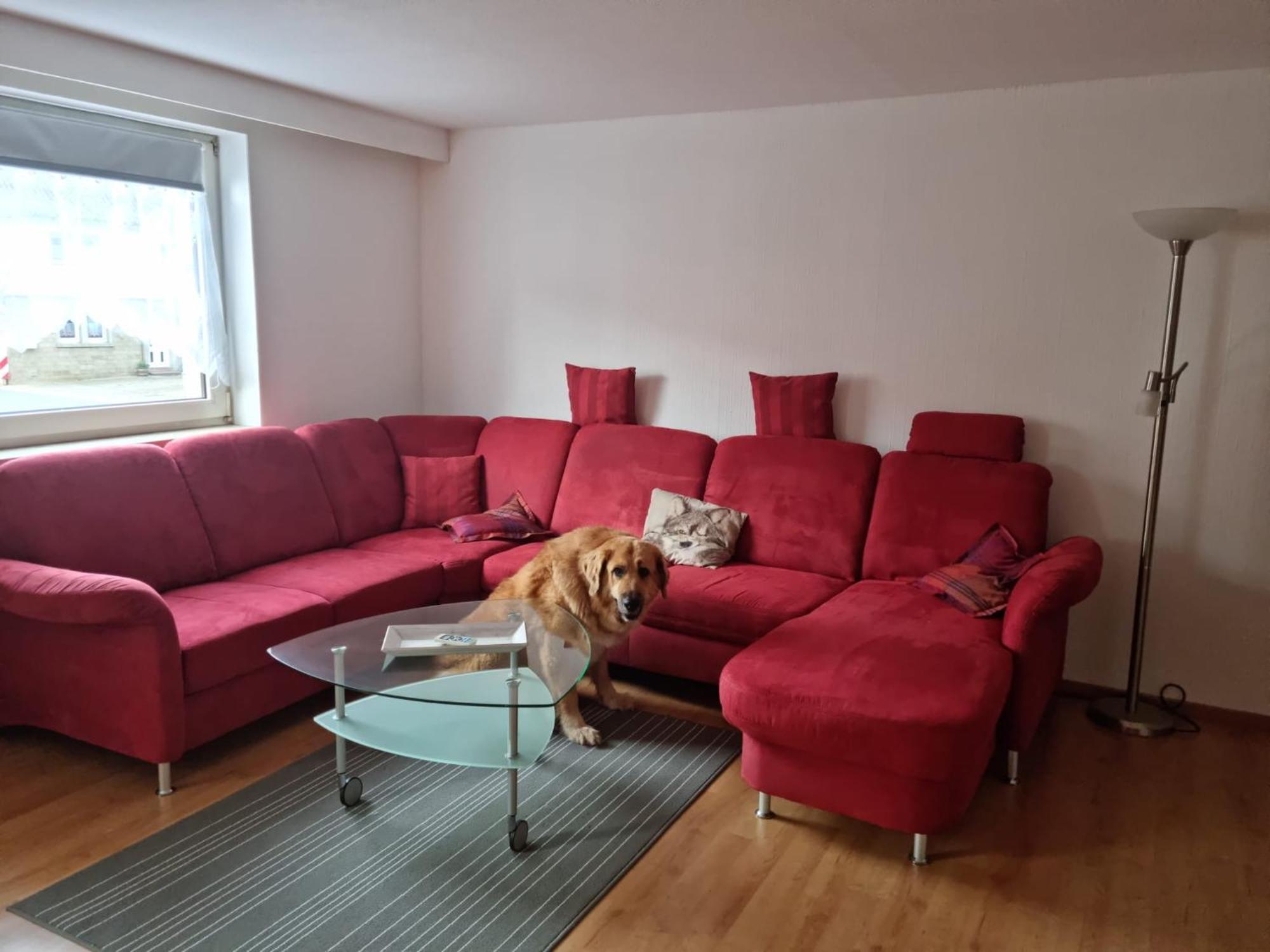 Main Zu Hause Villa Eichenbuhl  Eksteriør bilde